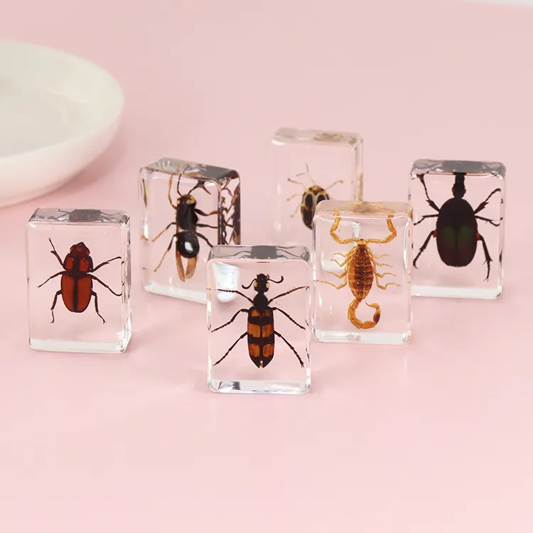 Benutzer definierte Souvenirs Großhandel Kinder geschenk Real Spider Scorpion Resin Craft Home Decoration Transparente Souvenirs Insekten probe