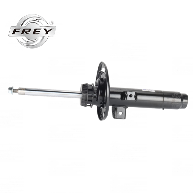 Frey Auto Parts G28 Shock Absorber 31316879353 for BMW 3 series 