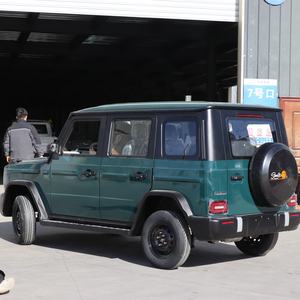 Nouveau modèle de voiture électrique tout-terrain, véhicule à énergie nouvelle, SUV 5 portes 5 places 100% électrique, batterie lithium, voitures électriques - Product Image 4