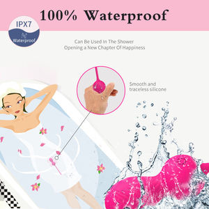 Set di esercizi Kegel per il recupero Postpartum da donna-manubri vaginali di grado medico-allenatore del pavimento pelvico per il controllo della vescica - Product Image 5