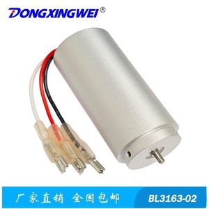 มอเตอร์ไร้แปรงถ่าน Dongxingwei รุ่น BL3163-02 มอเตอร์ไฟฟ้าขนาดเล็กแบบ DC สำหรับกรรไกรตัดแต่งกิ่ง เครื่องมือทำสวน - Product Image 2