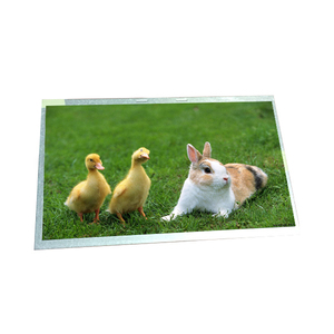 G101QAN01.1 <b>Top</b> Quality 10.1 inch LCD Panel 1024*600 TFT LCD Screen Display - Product Image 1