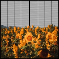 Écran vidéo d'intérieur couleur HD P3.91 Écran LED transparent pour mur rideau Écran d'affichage TV haute transparence pour verre