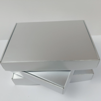 Boîtes en papier argentées personnalisées pour avion, 35*25*8cm, vente directe d'usine, promotion, boîtes d'expédition, boîtes de shopping