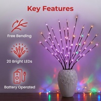 Guirlande lumineuse à 20 LED en forme de branche de saule, alimentée par piles, blanc chaud, pour la maison, les fêtes, Noël, les mariages, la décoration intérieure, la chambre, la table, le vase