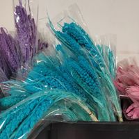 Bunga Tanaman Asli, Biji-bijian, Ranting Gandum, Bunga Kering Alami, Buket, Dekorasi Pernikahan, Bahan DIY, Dekorasi Rumah, Oranye