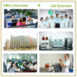 Горячая Распродажа органический экстракт капусты порошок <span class=keywords><strong>100</strong></span>% чистый травяной экстракт зеленый порошок - Product Image 4