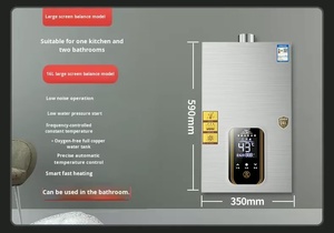 Chauffe-eau instantané sans réservoir électrique/à <span class=keywords><strong>gaz</strong></span>/à batterie avec écran LCD 12-16L, portable pour <span class=keywords><strong>camping</strong></span> extérieur, fabriqué en Chine - Product Image 2