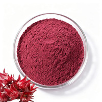 Suministro de Fábrica: Polvo de Extracto de Hibisco Sabdariffa (Roselle) con 10% de Antocianina para Bebidas