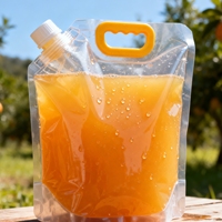 Poche à liquide autoportante de grande capacité avec bec verseur et poignée, en matériau haute résistance, idéale pour soupes et bouillons, conforme aux normes alimentaires.