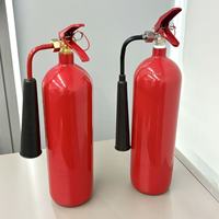 Extincteur portable au dioxyde de carbone haute performance, certifié CE, le plus vendu pour la lutte contre les incendies dans les salles de serveurs