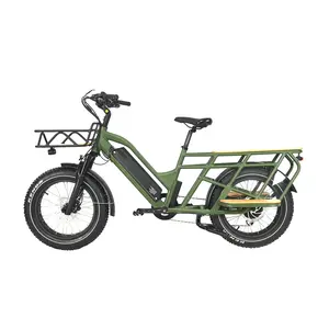 Hochleistungs-Elektro-Stadt-E-Bike Elektrofahrrad mit Daunenrohr-Lithiumbatterie Hinterradnabenmotor Bicicleta Bicicleta Electrica