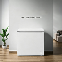 Congélateur coffre en acier inoxydable, congélateur profond 300L, ouverture par le haut, congélateur commercial pour hôtel et restaurant