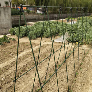 <span class=keywords><strong>Piquets</strong></span> <span class=keywords><strong>de</strong></span> jardin 8 mm x 60 cm pour <span class=keywords><strong>tomates</strong></span>, concombres, fraises, haricots, arbres, <span class=keywords><strong>piquets</strong></span> <span class=keywords><strong>de</strong></span> jardin en plastique enduit, supports robustes pour plantes en métal - Product Image 6