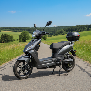 Scooter <span class=keywords><strong>électrique</strong></span> haute vitesse 1000W homologué EEC COC, sans <span class=keywords><strong>permis</strong></span> requis pour les trajets quotidiens des adultes, directement de l'usine - Product Image 3