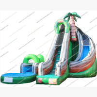 Toboggan aquatique gonflable d'extérieur, toboggan aquatique gonflable d'exploration de la jungle, toboggan aquatique gonflable commercial pour piscine, toboggans aquatiques gonflables