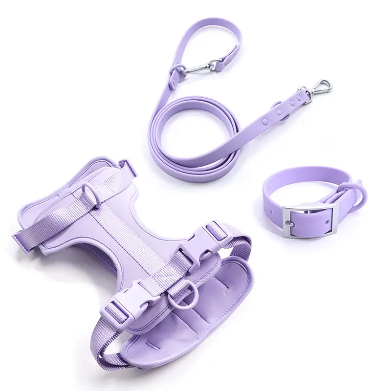 Individuelles personalisiertes Geschirr-Set wasserdichtes PVC-Hundeleine-Halsband-Set Hundekot-Tasche Spender Haustierzubehör