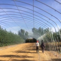 Grande serre de jardin en PVC à haut tunnel de plain-pied pour la conservation de la chaleur Protection contre la pluie pour les légumes Fruits Grains de Thaïlande