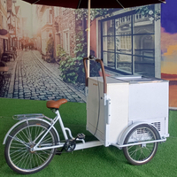 Chariot de crème glacée commerciale, glacière tricycle congélateur chariot de vélo vente de jus et de crème glacée chariot alimentaire mobile avec roues