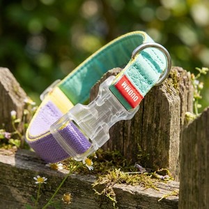 YG-219 통기성 컬러풀 캔버스 애완동물 목걸이 폴리에스터 코튼 소재 고양이 및 개용 패션 스타일 - Product Image 3