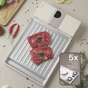 Refrigerador de cocina superventas, bandeja de placa de descongelación de carne congelada rápida eléctrica inteligente