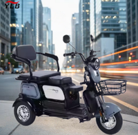 Scooter électrique pour adultes, tricycle, quad pour la conduite urbaine, peut transporter trois personnes, frein à disque 1000W