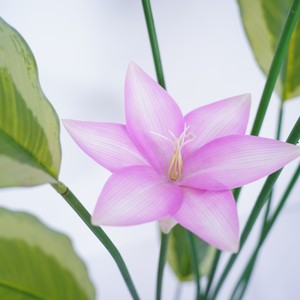 Plantas Artificiales Realistas Grandes para Decoración de Bodas y Hogar, Hoja de Plátano Artificial de Alta Simulación, Plástico Sedoso para Interiores - Product Image 4