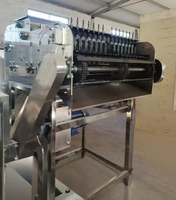 Machine de décorticage de noix de cajou à faible dommage, séparateur de noix de cajou sèches et humides, fourni par l'usine