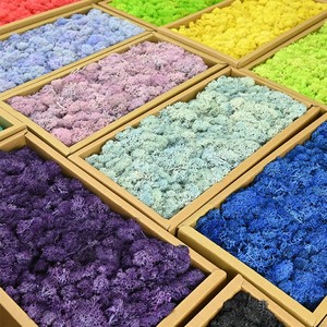 Muschio Stabilizzato Eterno del Produttore Yunnan, Muschio di Renna Decorativo Conservato, Kit Fai da Te per Pareti da Giardino, Pannello Decorativo per Fioristi, Lungo - Product Image 2