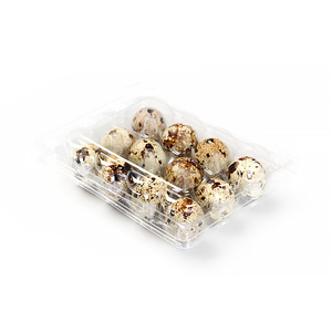 plastic 24 cells pvc disposable pet quail egg box traysale manufactures blister plastic quail egg tray