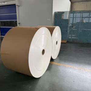 Rouleau de papier enduit de PE écologique, qualité alimentaire, recyclable, rouleau jumbo, taille personnalisée, OEM ODM pour la matière première des gobelets en papier pour boissons - Product Image 1