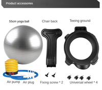 Chaise d'exercice ergonomique LXY-N103 avec ballon et pompe à air