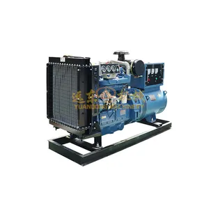 Draagbare Dieselgeneratoren 20kw30kw40kw50kw50kva75kw80kw100kw120kw100kva 150kw 200kw Stille Mobiele Diesel Generatorset