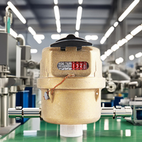 Compteur d'eau volumétrique en laiton de haute qualité LIRLEE Classe C DN15 DN20 Compteur d'eau rotatif à piston volumétrique en laiton