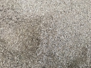 Molino <span class=keywords><strong>de</strong></span> Martillos Industrial para Madera <span class=keywords><strong>de</strong></span> 2-3T/H en Brasil - Product Image 5