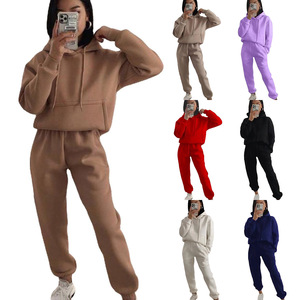Set di abbigliamento sportivo con Logo personalizzato due pezzi per donna uomo traspirante Casual con cappuccio a manica lunga felpa tinta unita - Product Image 1