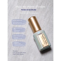 Ladai Cat Eye UV Gel Polish Nail Set Vernis magnétiques pour hommes et femmes Vernis de manucure en lampe LED Source Bouteille Emballage