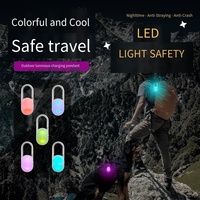 Lampe LED rechargeable USB RGB à clipser pour chien, pendentif lumineux étanche pour collier de chien, lumière LED pour la sécurité des promenades en extérieur