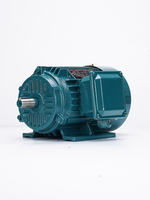 Moteur électrique à induction triphasé IE3 à haut rendement 75 kW 200 kW 315 kW 380 V 400 V 60 Hz