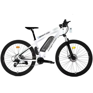 Novos produtos vendem barato OEM bicicleta elétrica 8 speed Liga de alumínio mountain bike bateria de lítio mtb e bicicleta