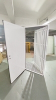 Porte en acier pré-assemblée facile à installer pour mur en panneau sandwich de 50 à 75 mm - Convient pour maison conteneur, maison préfabriquée, maison en kit