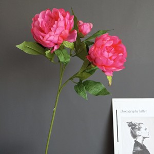 <span class=keywords><strong>Bouquet</strong></span> de fleurs artificielles en soie rose corail de haute qualité ODIS pour la décoration de la maison et des événements, pivoine artificielle - Product Image 2