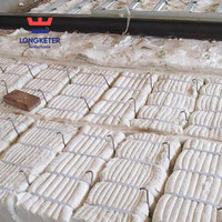 Modul Serat Keramik (1050-1600) ° C); Densitas 250-300 Kg/m³; Konduktivitas Termal 5%; 300x300x300 Mm; Pemrosesan Potong Sesuai Ukuran.