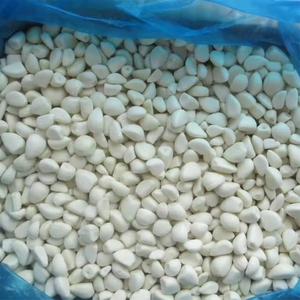 Ail frais léger et épicé biologique de haute qualité nouvelle culture d'ail blanc pur cultivé à la ferme approvisionnement en vrac - Product Image 5
