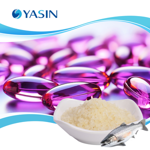 Gélatine en poudre d'écailles de poisson Tilapia en gros, capsules de gélatine 150-260 Bloom, gélatine de poisson en vrac - Product Image 1