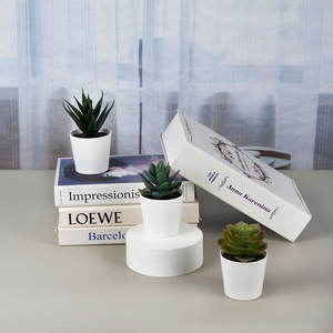 Ensemble de 3 mini-plantes succulentes en plastique - Petites plantes artificielles de bureau avec pots décoratifs - Product Image 4