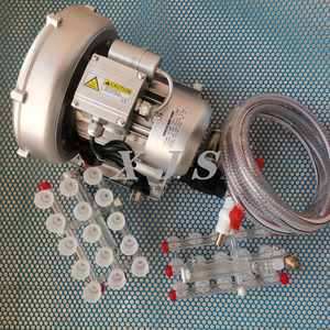 Lève-œufs à vide <span class=keywords><strong>V30A</strong></span> pour 30 œufs, type fixe - Product Image 2