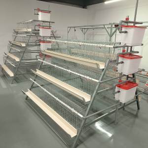 Galvanisé 120 128 160 Oiseaux Élevage de Volaille 4 Niveaux Poules pondeuses Batterie Oeuf Poulet Elevage <span class=keywords><strong>Animal</strong></span> Cage à Vendre - Product Image 4