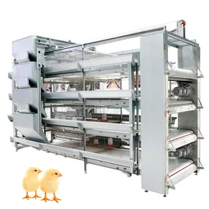 Hot Sale Automatic Pullet Baby Chicken Battery Cage For Day Old Layer Chicks