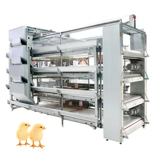 Offre Spéciale Automatique Poulette Bébé Batterie De Poulet Cage Pour Jour Vieux Couche Poussins